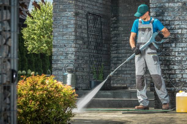 Best Graffiti Removal  in Renovo, PA